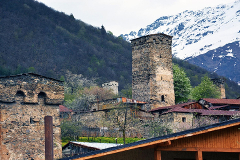 Tbilisi: 2-dagars tur till Mestia och Ushguli med vandring