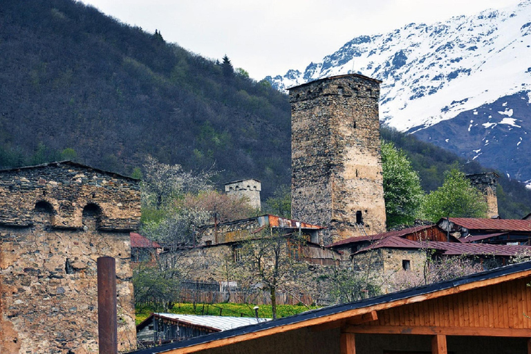 Tbilisi: 2-dagars tur till Mestia och Ushguli med vandring