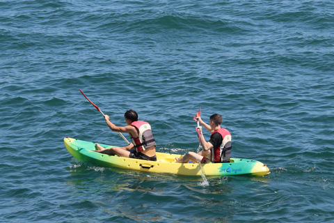 Kayak rental in the Marina of ValenciaKayak rental of 1h in the Marina of Valencia