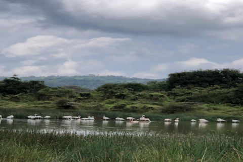 Arusha : Excursion d&#039;une journée dans le parc national d&#039;Arusha