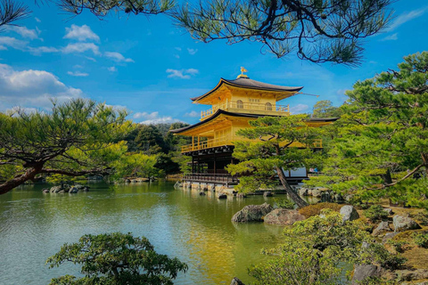 Kyoto/Nara: Must-see Spots in One Day Tour with Hotel Pickup