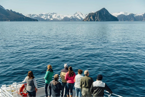 Seward: Captain's Choice Kenai Fjords National Park Tour