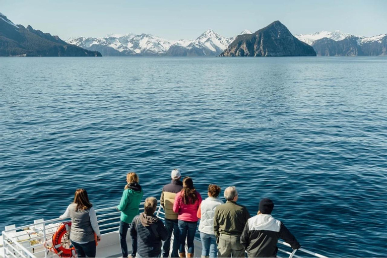 Seward: Captain's Choice Kenai Fjords National Park Tour
