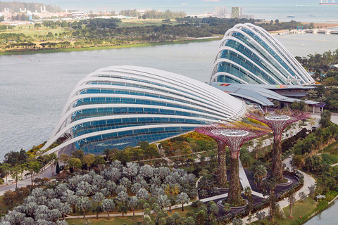 Singapore: Gardens by the Bay Domes & Light Shows Tour