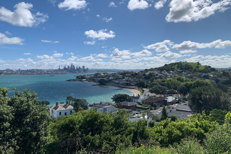 Auckland Volcanoes Full-Day Small Group Tour