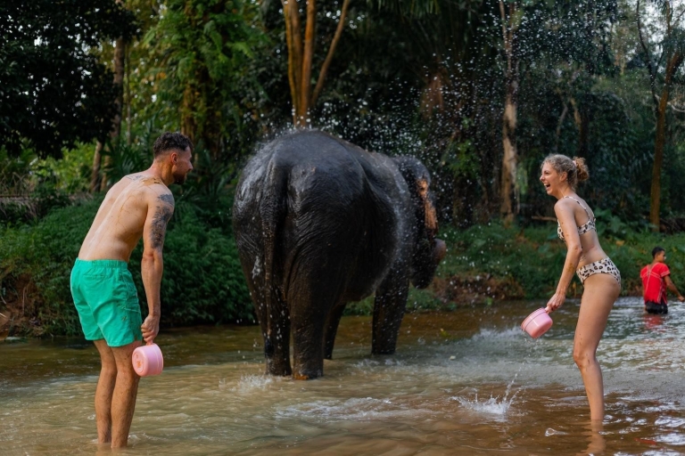 KhaoLak : Stay & Play Full day tour Elephant Mahout's Life (La vie des éléphants)