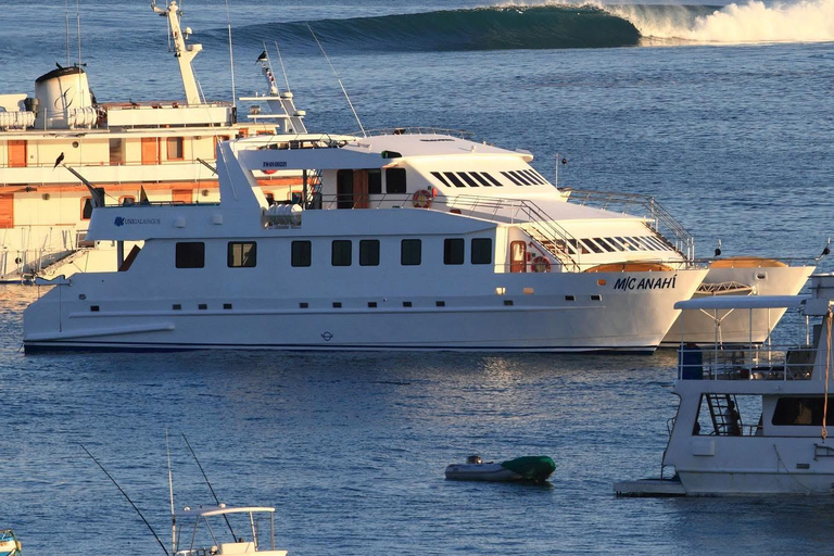 Galápagos: sesión de surf con un profesional local