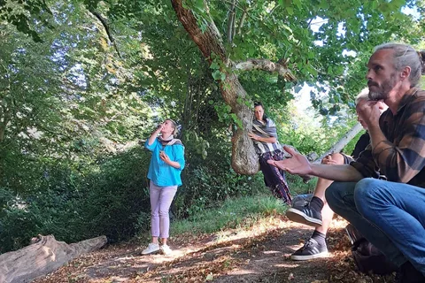 A Tour of Glastonbury - Guided by the Trees