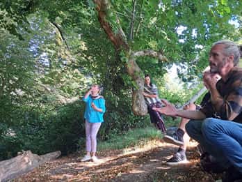 Un tour di Glastonbury - guidato dagli alberi