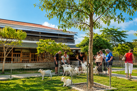 Yogyakarta: Goat Farm Experience with Dairy Tasting