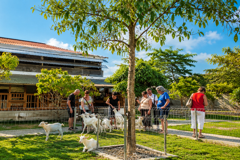 Yogyakarta: Goat Farm Experience with Dairy Tasting