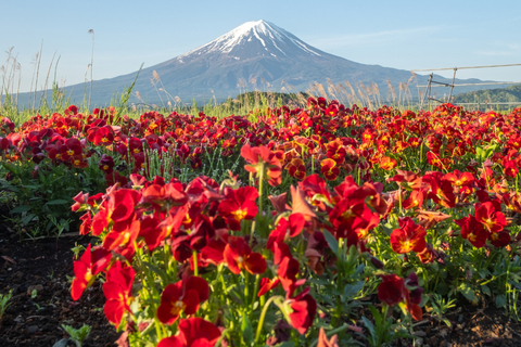 Tokyo: Mount Fuji Private Customizable Tour In Luxury Van