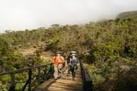 Escalada do Kilimanjaro: Experiência de 1 dia na Rota de Marangu