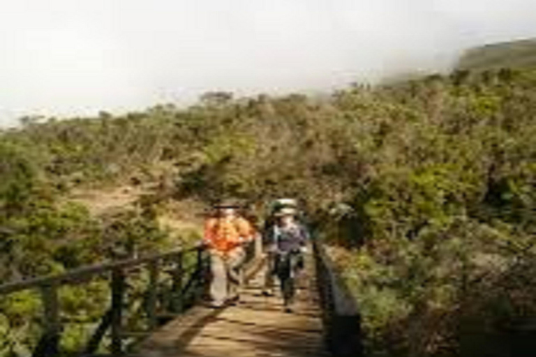 Ascension du Kilimandjaro : 1 jour sur la route de Marangu