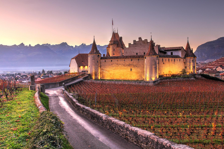 Escursione privata di un giorno: Losanna a Vevey, Montreux e il Castello di Aigle