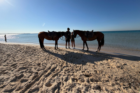 Hammamet: 2-Hour Horseback Ride at Sunrise or Sunset Hammamet: Two-Hour Sunrise Horseback Riding Tour