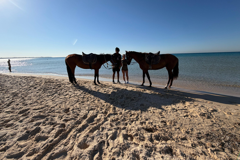 Hammamet: 2-Hour Horseback Ride at Sunrise or Sunset Hammamet: Two-Hour Sunrise Horseback Riding Tour