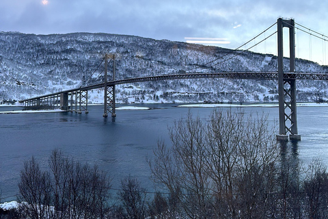 Narvik/Harstad : Excursion d&#039;une journée dans les Fjords avec arrêt à la ferme des rennes