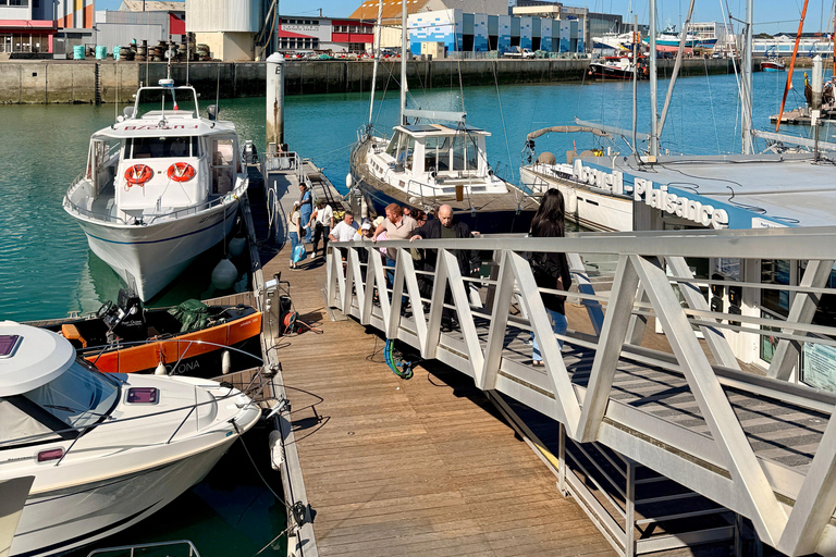 Les Sables d'Olonne: Guided Tour to the Phare des Barges Narrated Tour of the Phare des Barges Lighthouse – Les Sables-d'Olonne