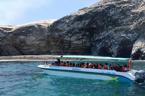 Premium Ballestas Islands Sightseeing Tour with Pick-up from Your Hotel in Paracas Premium Peninsula Sightseeing Tour with Pickup from Your Accommodation in Paracas