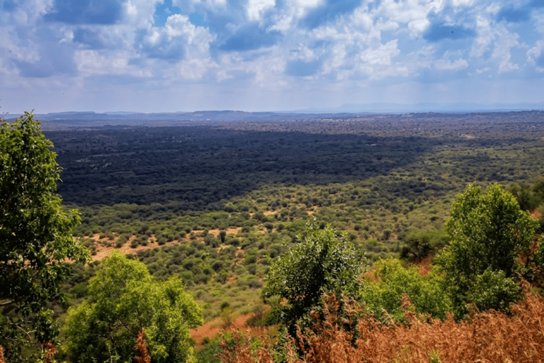 From Sheraro: 5-Day Kafta Sheraro National Park Safari