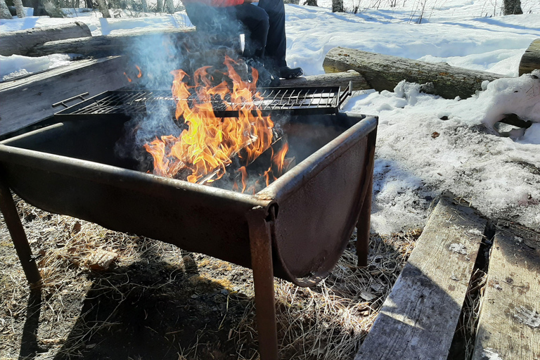 Levi: Photo Snowmobile Tour & Campfire Break