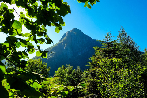 Bergen: Cruise to beautiful Rosendal by the Hardangerfjord