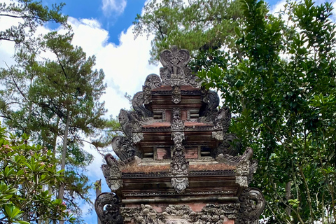 Ubud rice terrace, waterfall, and temple guided trip Bali