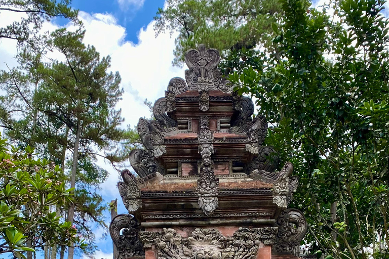 Ubud rice terrace, waterfall, and temple guided trip Bali