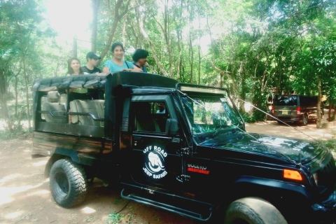 Depuis Negombo : Sigiriya / Dambulla & Parc national de Minneriya