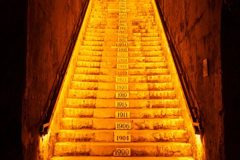 Din Reims: Excursie de o zi la Veuve Clicquot Family Grower și prânz