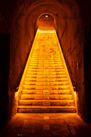 De Reims, excursion d'une journée à VeUve Clicquot Family Grower & Lunch - Housity