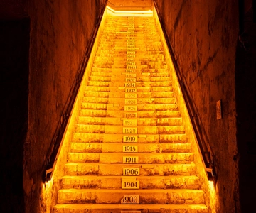 From Reims: Day Trip to Veuve Clicquot Family Grower & Lunch