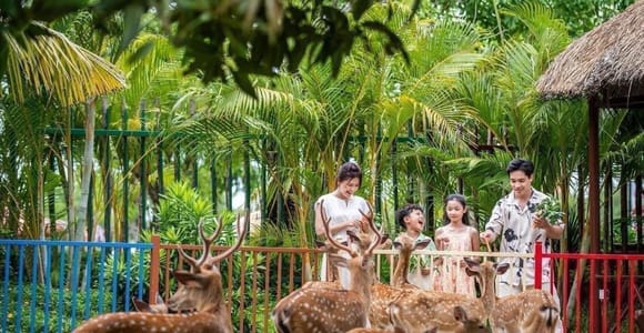 Two adults and two children leaning over a low fence to feed a group of spotted deer, palms and a thatched shelter behind