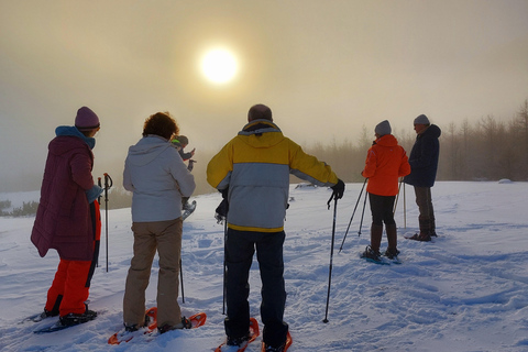 Akureyri: Snowshoeing with The Traveling Viking