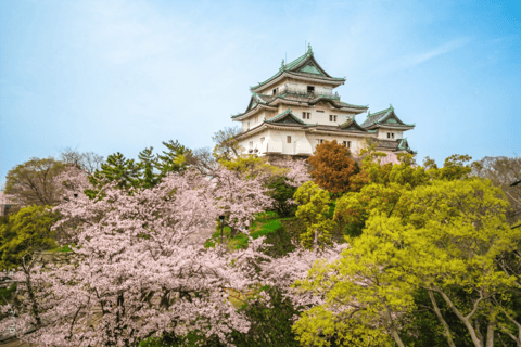 Från Osaka/Kyoto: Mount Koya &amp; Wakayama TourMed Nachi vattenfall