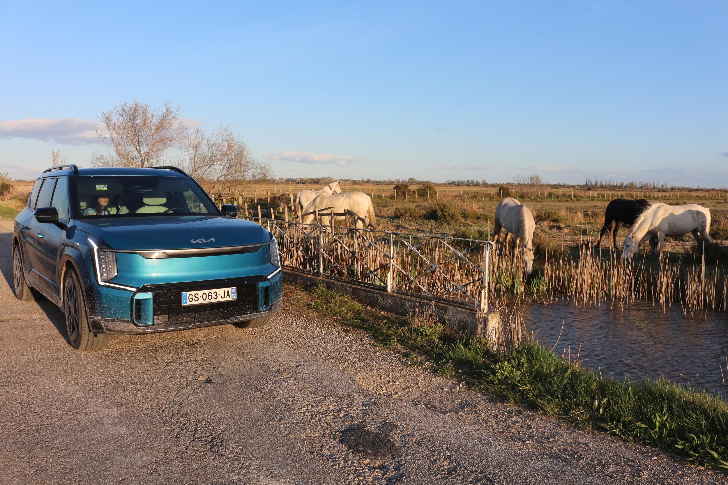 Camargue: Elektrische Allrad-Safari – Abfahrt in Arles + Verkostung
