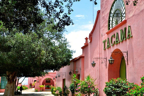 Ica : Visite d'un vignoble avec dégustation de vin et de pisco