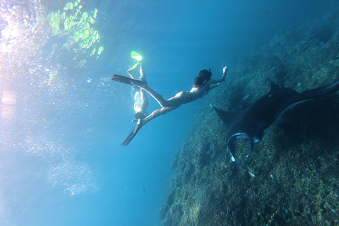 Nusa Penida: Manta Ray Snorkeling & Turtle Sanctuary