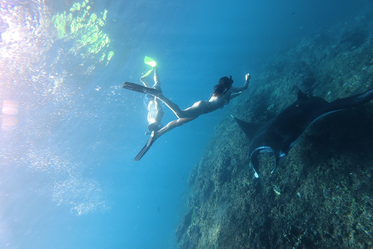 Nusa Penida: Manta Ray Snorkeling & Turtle Sanctuary
