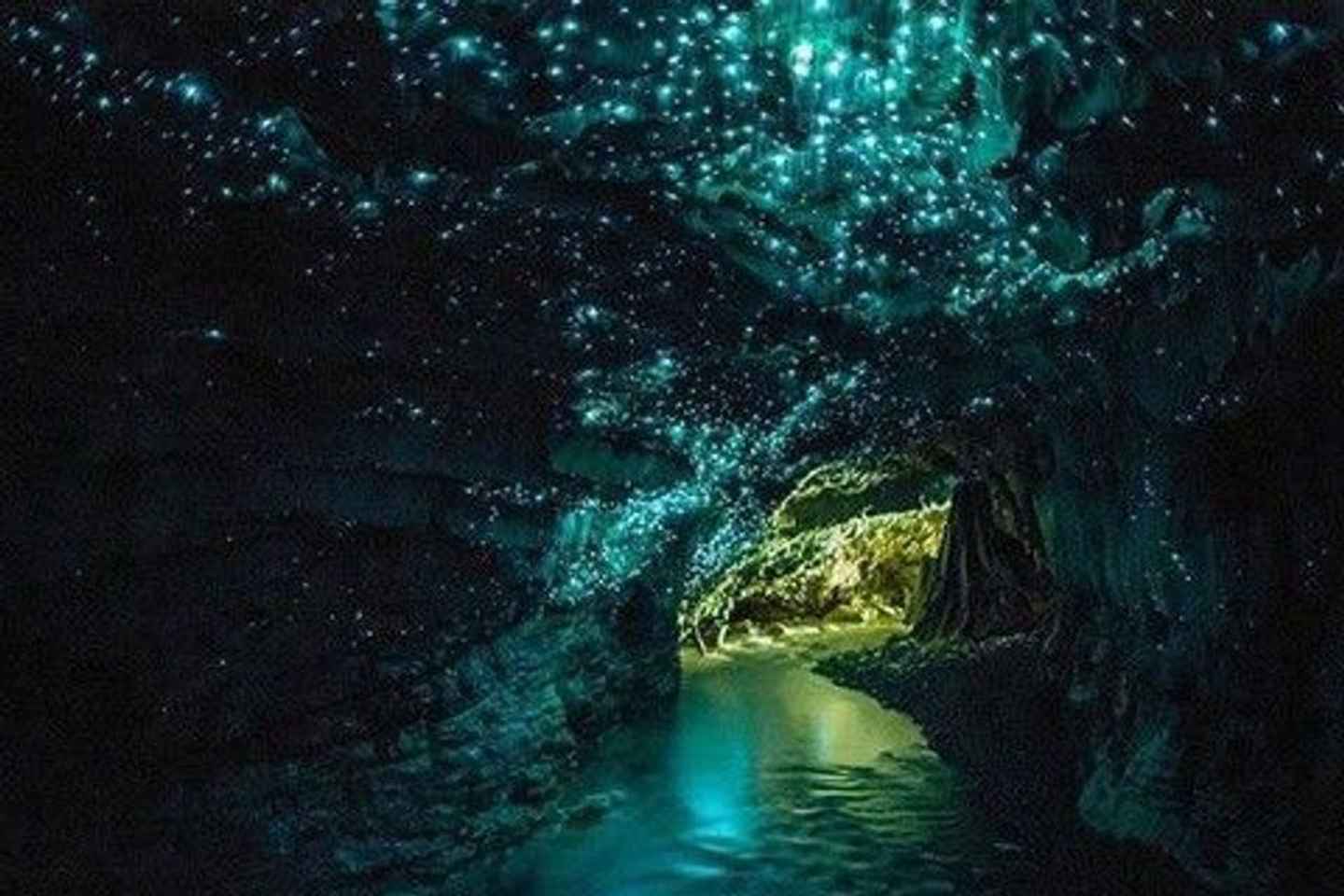 Small-Group Waitomo Glowworm Caves Day Tour from Auckland - Small-Group Waitomo Glowworm Caves Day Tour from Auckland