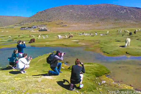 Arequipa : 3 jours de trekking dans le canyon de Colca