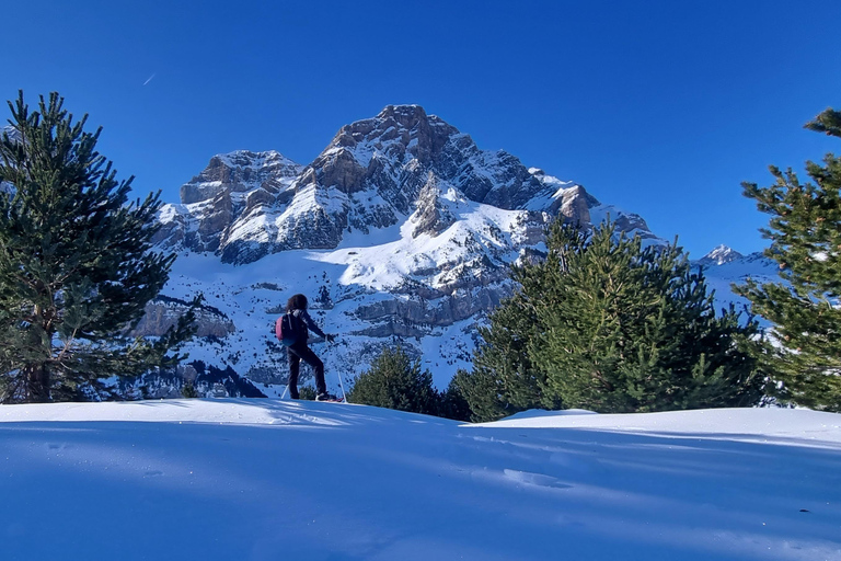 Madrid: Snowshoe tour