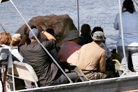 Chobe: 2-tägige Mobile Camping Safari