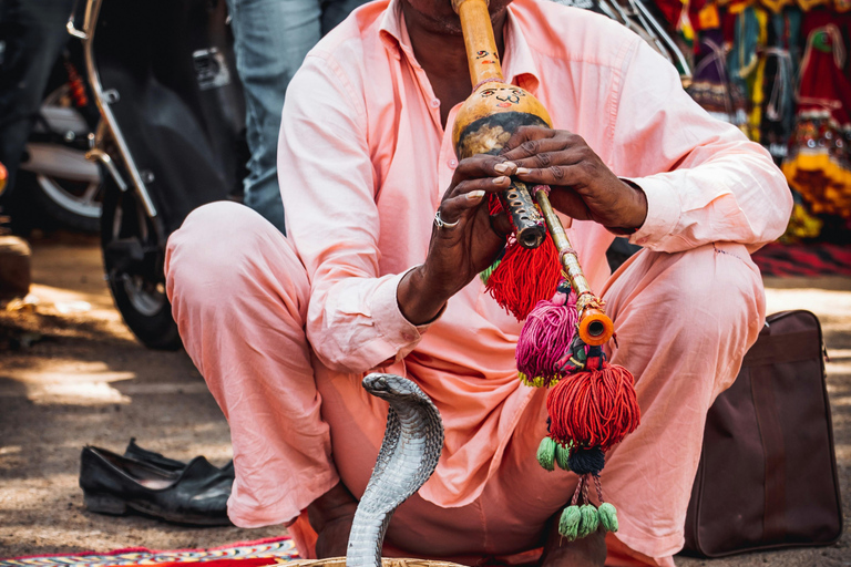 Jaipur: Visita guiada a pie con degustación de té y comida callejera