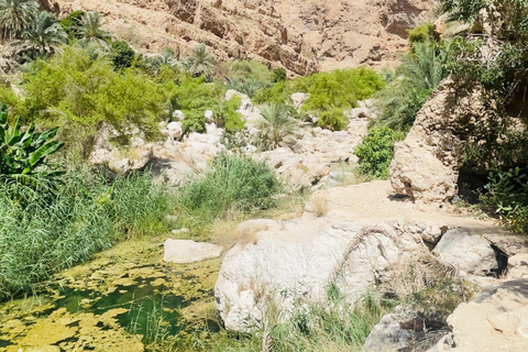 Muscat: Wadi Shab dagvullende tour met ophaalservice vanaf je hotel