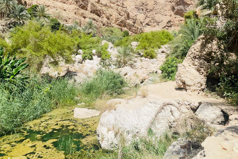 Muscat: Wadi Shab dagsutflykt med upphämtning från hotell