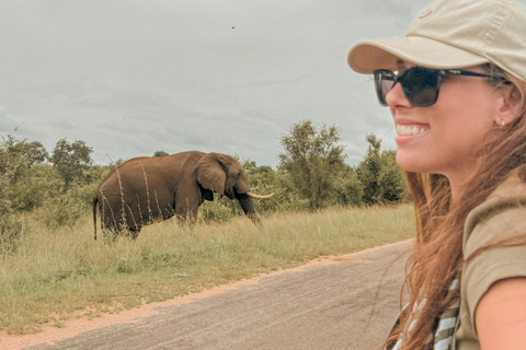 Budget Kruger &amp; Panorama meerdaagse tour vanuit Johannesburg5-daagse budgetreis naar Kruger &amp; Panorama