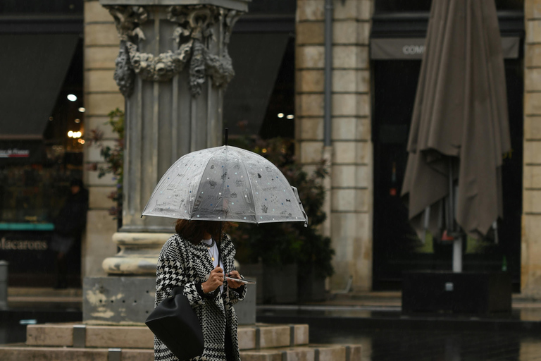 Bordeaux: Wein, Mode, Kunst, Geschichte &amp; Kulinarik RundgangPrivate Tour