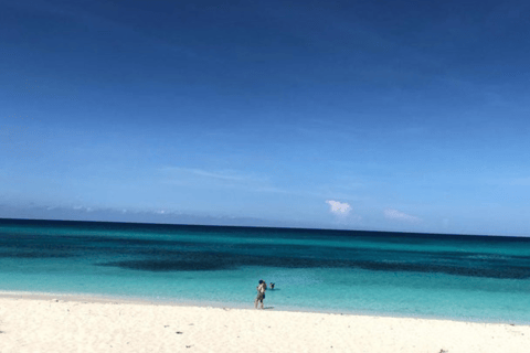 Bahía de las águilas glamping experience from Santo Domingo